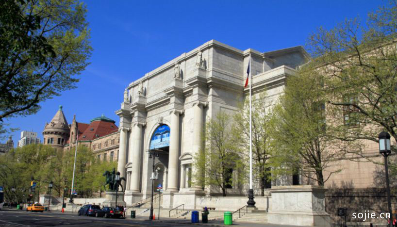 世界十大最好的博物馆排行榜:美国纽约自然历史博物馆
